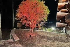 Tree-landscape-lighting-img